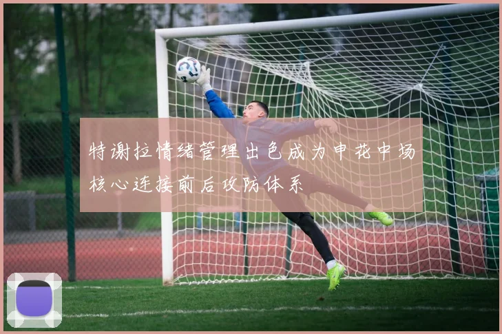 特谢拉情绪管理出色成为申花中场核心连接前后攻防体系